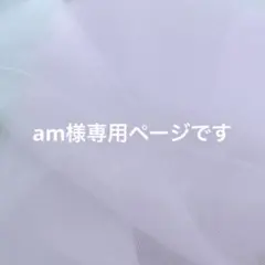 am様専用ページです