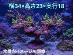 人工ライブロック SG18 擬岩/30cm水槽〜/海水水槽/サンゴ水槽 - メルカリ