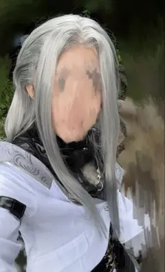 難あり】姫鶴一文字 コストモ コスプレ 衣装 ウィッグ - メルカリ