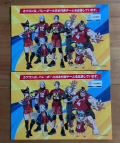 VNL バレーボールネーションズリーグ2026 大阪大会 2025 千葉大会