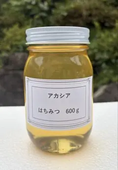 養蜂カタログ p.33 巣蜜（コムハニー ）専用巣枠2セット&養蜂面布API