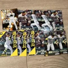 プロ野球チップス 阪神タイガース 2022〜2025