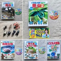 小学館の図鑑　NEO ネオ 4冊　DVD付き　こども大百科 1冊　昆虫フィギュア