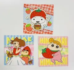 チョコビシール 3枚セット