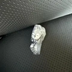 Straykids SKZOO スキズ ガチャガチャ　ウルフチャン　②