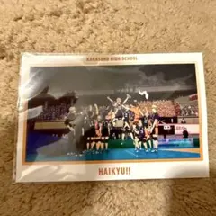 ハイキュー!! 烏野高校 ポストカード
