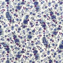 ２ｍ　リバティ　クリスタベル　ブルーバイオレット