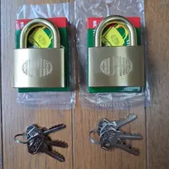 Item thumbnail for item 2060f563-b07a-4367-879e-0ac026bd8efd