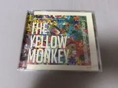 2026年最新】Grateful spoonful completeの人気アイテム - メルカリ