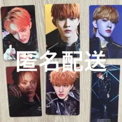 INI THE VIEW 田島将吾　コンプ トレカ　セルカ ステッカー