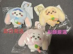 ちいかわ　台北限定　ロップイヤーなマスコット　ちいハチうさの3体セット　即日発送