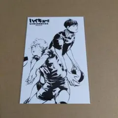 ハイキュー!! 仙台観光特使就任記念 ポストカード 日向・影山