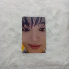 &team EJ トレカ ウィジュ 月狼 ベビーウルフ