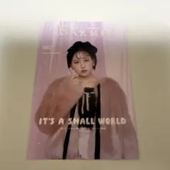 LARMEfes 松本かれん FRUITS ZIPPER ポストカード レア