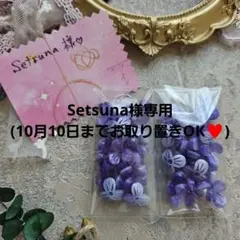 ご専用ページ✨