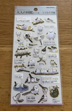 パグぞう様 リクエスト 2点 まとめ商品