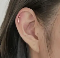 Item thumbnail for item 54d50de8-8f96-44b9-bb1f-7fe59454a472