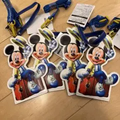 ディズニーランド　バケーションパッケージ　チケットホルダー4個