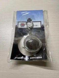 Item thumbnail for item 9f5c1eec-37ad-4c21-a15d-cb764e28ffd0