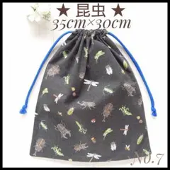 Item thumbnail for item cb4d5886-dec5-4738-bf0a-258f77d8d5a5