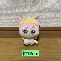 A3! チビちびぐるみ 夏組 向坂椋