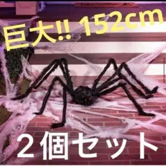 Item thumbnail for item 568d21e8-5bf6-4f80-bc86-25df20b9d2ad