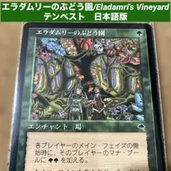 Item thumbnail for item 5bfe2dc2-d87b-4fa6-8796-a633408e76f8