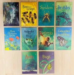 Usborne Beginners Nature 10冊 科学 英語 絵本 - メルカリ