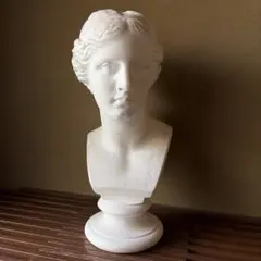 2026年最新】ミロ ビーナスの人気アイテム - メルカリ