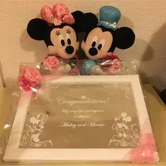 【交渉可！】廃盤 ミッキー&ミニー ウェルカムドール&ミラーボード