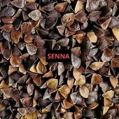 Item thumbnail for item 64bde5bd-90c8-4bfa-a4ea-c70d58e4c0a9