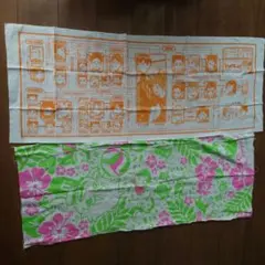 Item thumbnail for item 72314ec7-6b45-43a9-8ed2-5011fd2e8bea