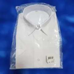 Item thumbnail for item bafed64e-b474-41b8-bef5-bc7ea5df20d8