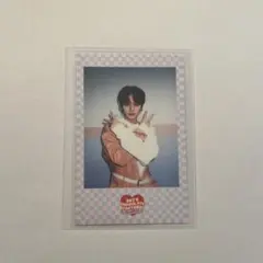 スキズ　リノ　ペンミ　ポラ