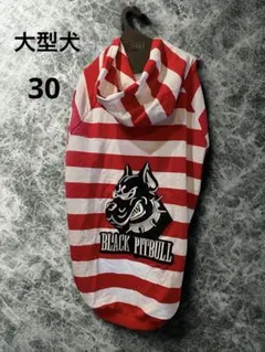 未使用　BLACKPITBULL パーカー　30 大型犬　ブラックピットブル