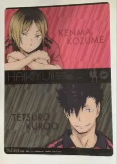 ハイキュー！！ 音駒高校 孤爪研磨 黒尾鉄朗 下敷き