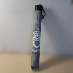 Item thumbnail for item 9634619c-1fa8-46df-9965-e9bee6342aba