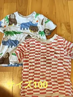 Baby GAP 半袖Tシャツ 3歳 動物柄・格子柄　100cm 2枚セット