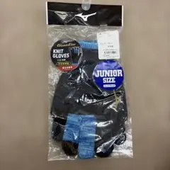 Item thumbnail for item 3342a3e9-01d7-4f38-8e49-4bfee05ed272