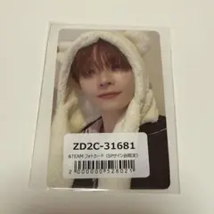 &TEAM NICHOLAS ニコラス ふわふわアニマル トレカ