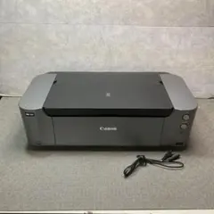 2026年最新】CANON PIXUS pro-100の人気アイテム - メルカリ