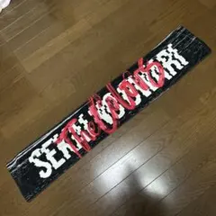 2026年最新】国内アーティスト：SEKAI NO OWARI ミュージシャン タオル