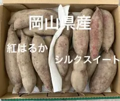 岡山県産　産地直送　さつまいも　シルクスイート　紅はるか