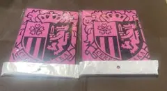 Item thumbnail for item e50a4511-8f0d-4754-93cc-9f726b75d258