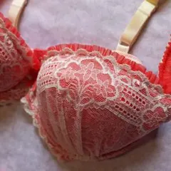 トリンプ　ブラジャー&ショーツ　セット