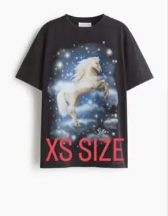 ステラマッカートニー H&M オーバーサイズ プリントTシャツ M - メルカリ