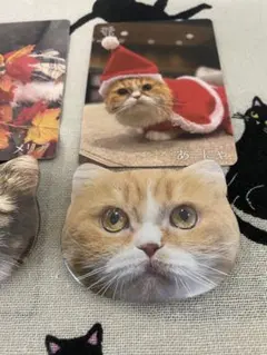 猫カフェmocha 渋谷公園通り店　缶バッチ　トレカ　あーにゃ