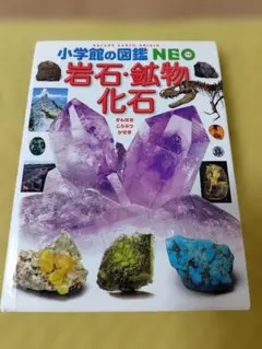 Item thumbnail for item 2af523f5-778c-4335-985d-8c967b1ee6e6