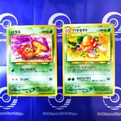 ※即購入不可　旧裏　パラス　パラセクト