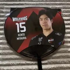 ウルフドッグス名古屋 宮浦健人 選手 グッズ 宮浦健人 ウルフドッグス名古屋 うちわ - メルカリ
